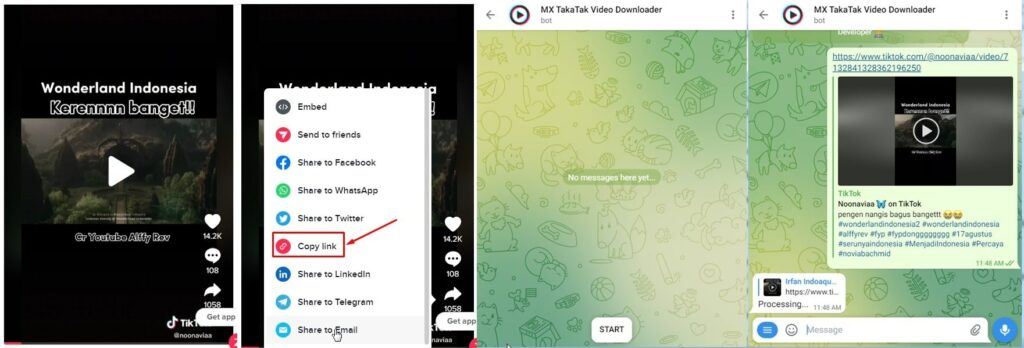 download video tiktok bot telegram